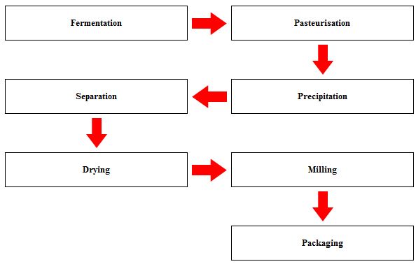 Manufacturing Process